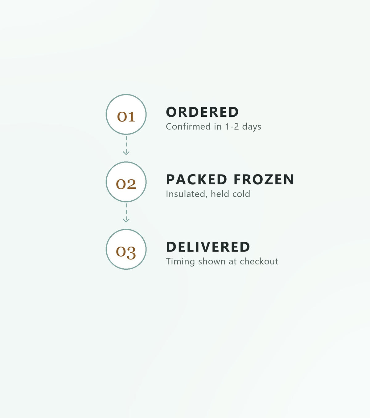 yyy cold chain flow 3
